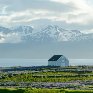 Húsavík Farm