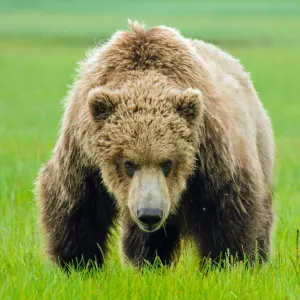 Alaska 2023