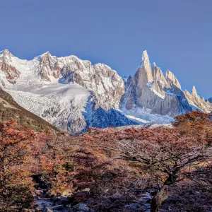 Patagonia
