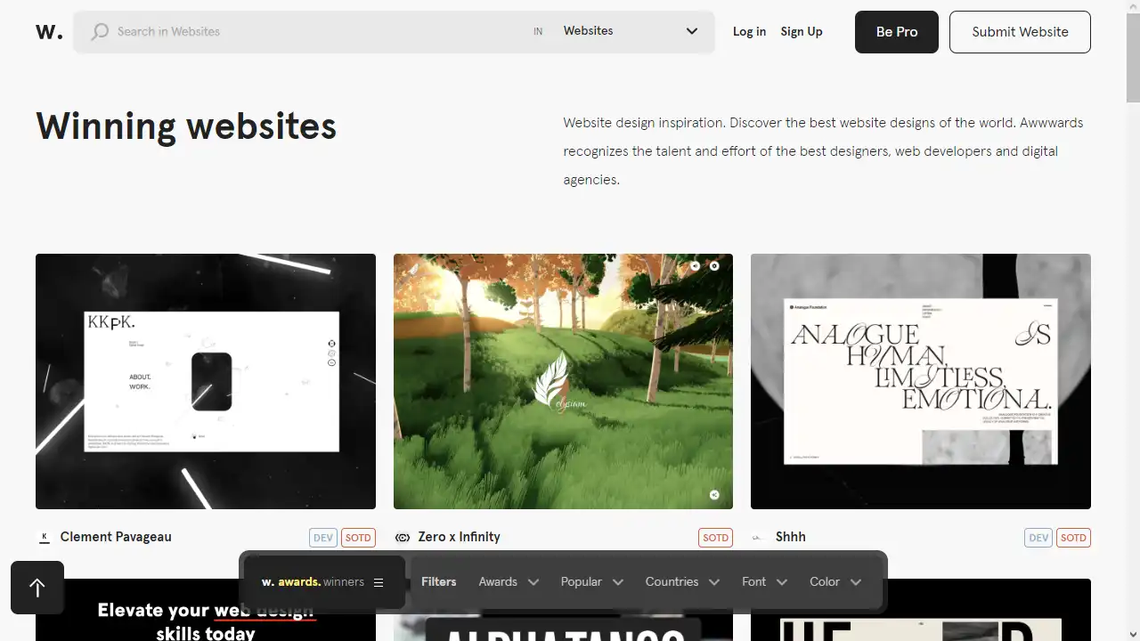 Awwwards web preview