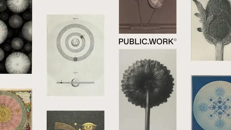 Public Work by Cosmos web preview