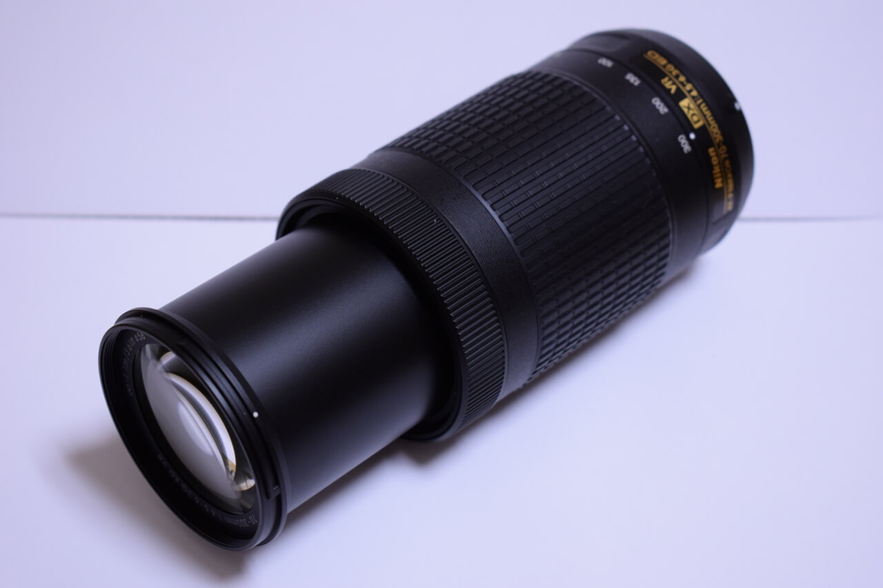Nikon AF-P DX NIKKOR 70-300mm f/4.5-6.3G ED VR ズームしたところ