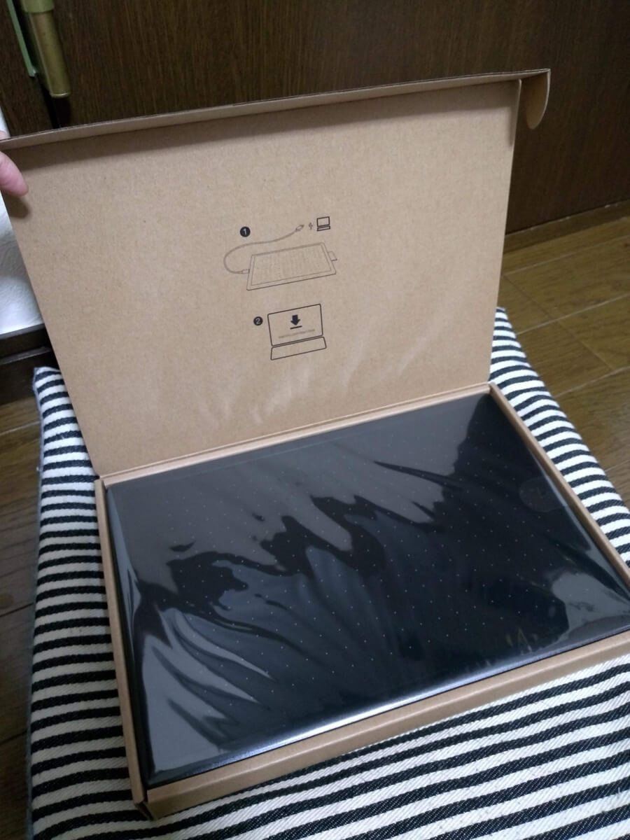 本体