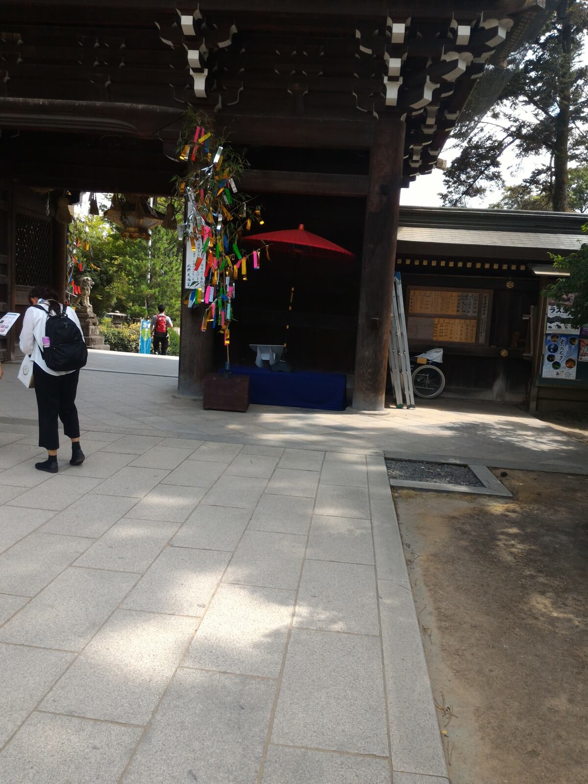 こけてる兄者