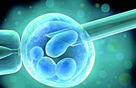 Cost of IVF in Nigeria and Recommended IVF Centers 2021