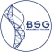 BSG Metallbau GmbH logo