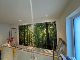 Tapezierarbeiten project thumbnail