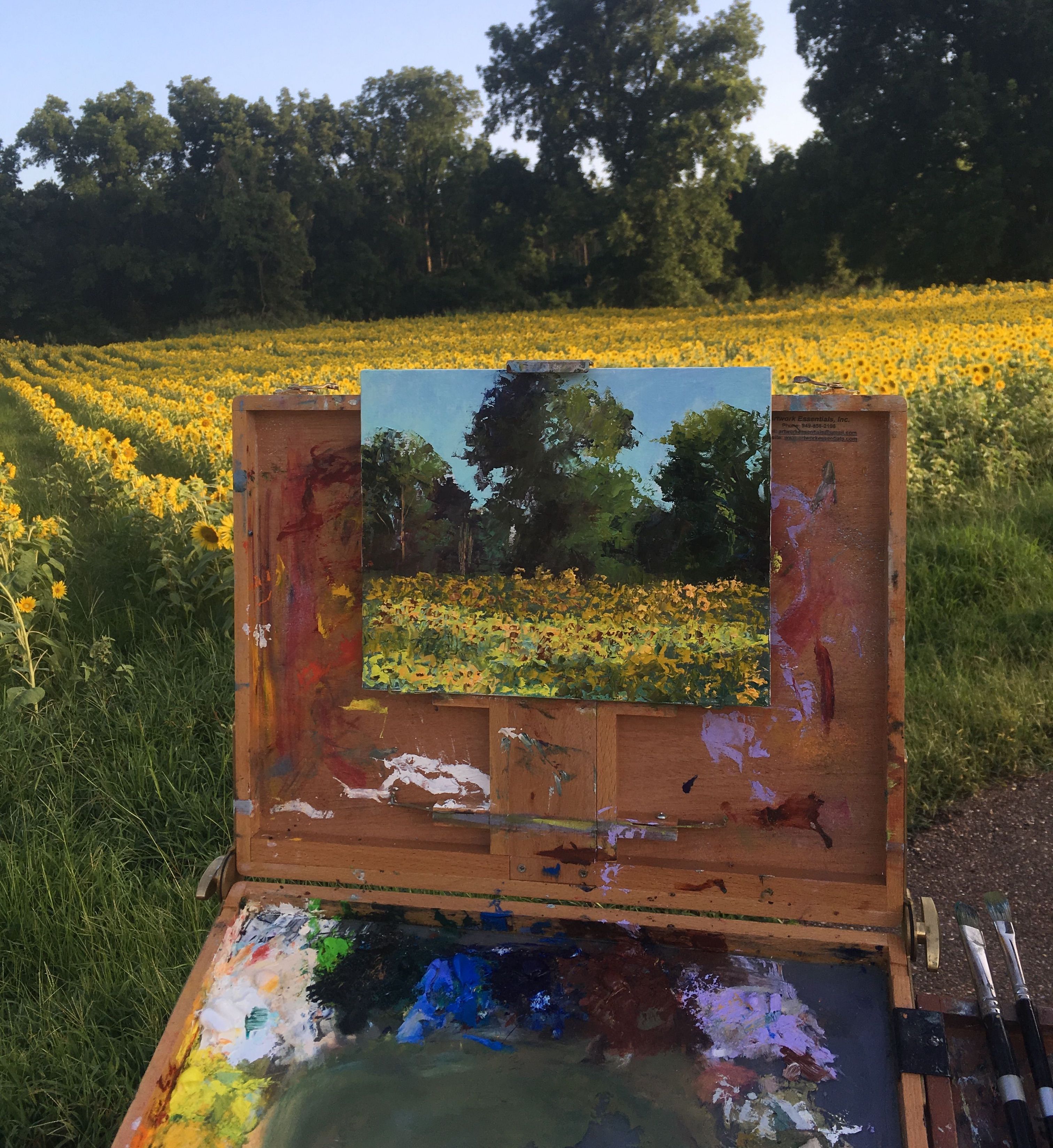 Sunflower fields - Artist Carol Roark.jpeg