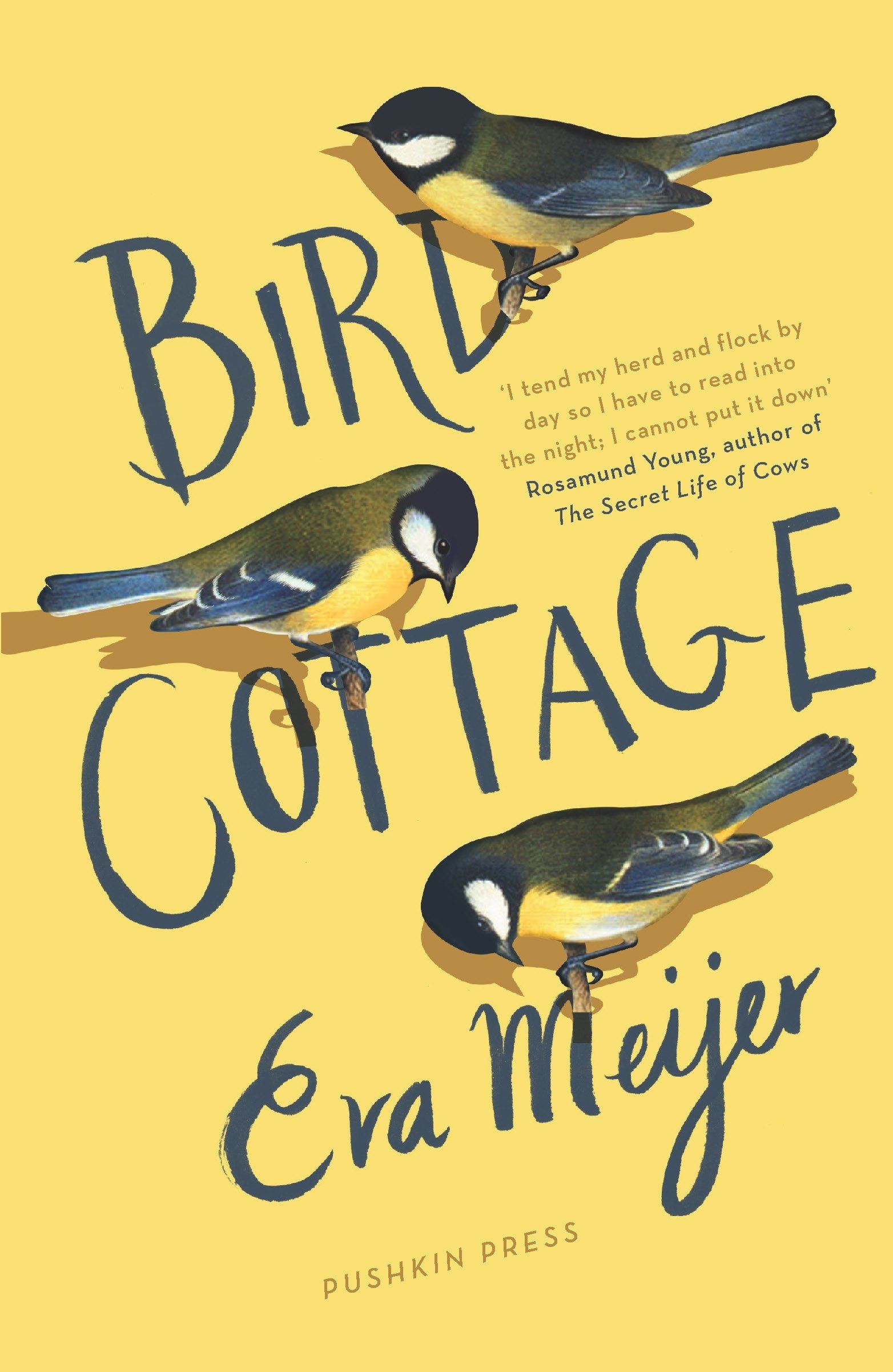 bird cottage.jpg