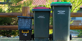 Additional bin collection for Tingha