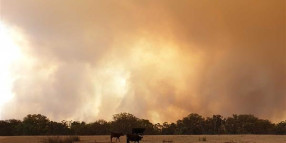 Landholder advice at fire recovery centre