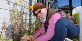 Free mulch for water savings