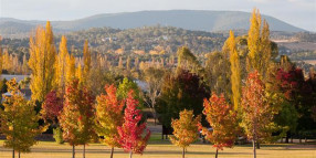 Armidale Regional Plan 2040