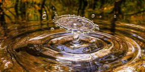 Community webinar on Guyra groundwater network