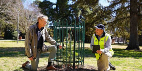 New software reflected in healthy street trees