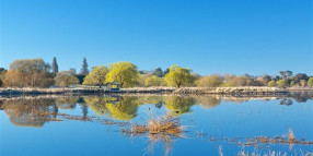 Hydrogeology report indicates no connection between bores and Mother of Ducks