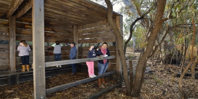 Mungo National Park