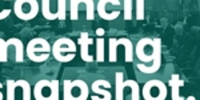 Council Meeting Snapshot - Wednesday 25 March 2020