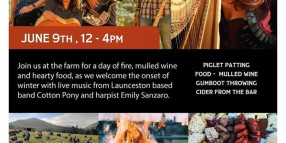 FIRE & MOUNTAIN WINTER FESTIVAL | 9 JUNE 2019