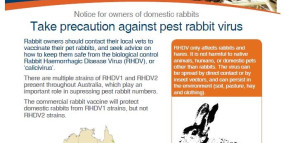 Rabbit Bio-Control