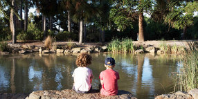 Get wild about the outdoors during Nature Play Week