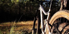 Have your say on escarpment mountain bike plans