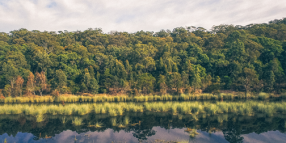 Join Council for a Bushwalk at Thirlmere Lakes