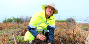 Lennox Headland Community Tree Planting Day03 May 2024