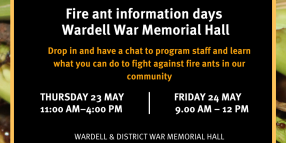 Fire Ant eradication treatment rolls out in Wardell22 May 2024