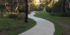 Council protecting the environment, one footpath at a time