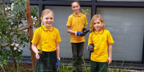 What a tree-ific idea! Local schools invited to celebrate National Tree Day