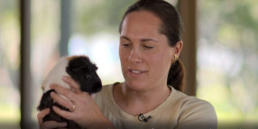 Hi, I’m Mav and our guinea pig Rosie is our little composter