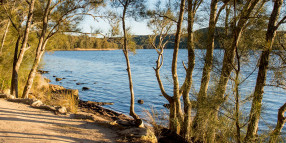 Keep our beaches and waterways healthy on Clean Up Australia Day