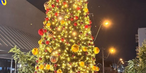 Festive decorations installed across Greater Shepparton