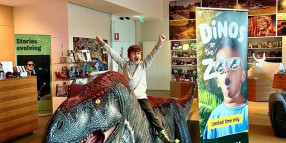 T-Rex Dinosaur visiting Greater Shepparton Visitor Centre