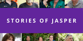 New Video Premiere – Stories of Jasper