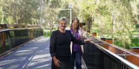 Council completes pedestrian bridge over Ormiston creek