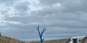 Media Release - Blue Tree Project