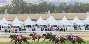 Community invited to have their say on the Albury Gold Cup Public Holiday