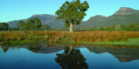 Council Eye New Stage of Pomonal Bushfire Rebuild