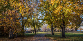 The next piece of art in the North Gardens Sculpture Park