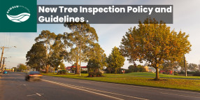 Guidelines to provide efficient tree inspections across the Shire