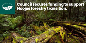 Council secures funding to support Noojee forestry transition