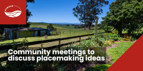 Community meetings to discuss placemaking ideas