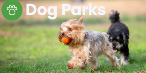 Fenced dog parks coming soon across Baw Baw