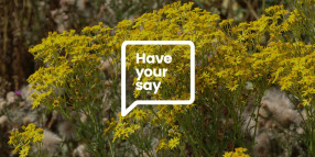 Have your say on draft Weed Management Strategy