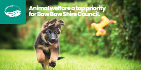 Animal welfare a top priority for Baw Baw Shire Council