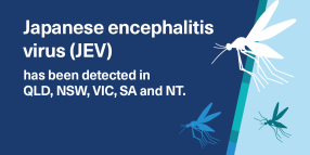 Japanese Encephalitis vaccination sessions