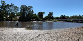 Lake Benalla update