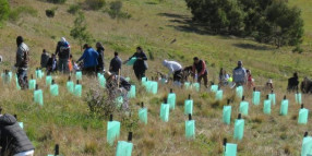 World Environment Day Celebration and Planting Day